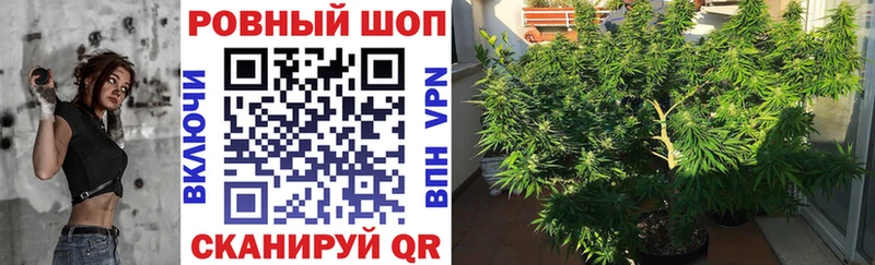 Виды наркотиков купить Алексеевка МАРИХУАНА Alpha PVP COCAIN ГАШ МЕФ