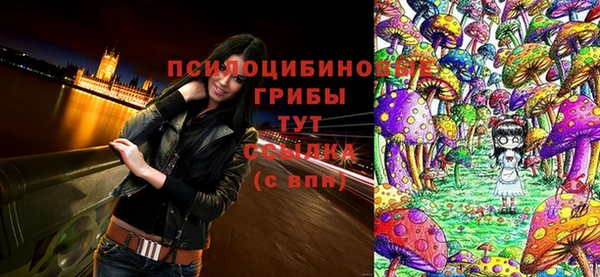 гашик Абинск