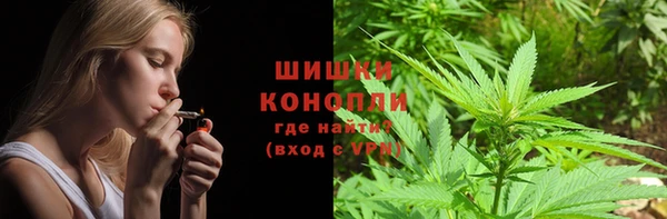 сатива Алзамай