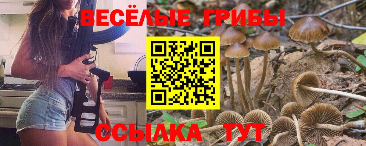 Алексеевка  Псилоцибиновые грибы мицелий  Вход с VPN 