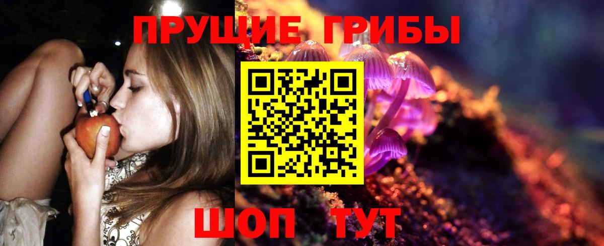 Псилоцибиновые грибы Psilocybe Алексеевка